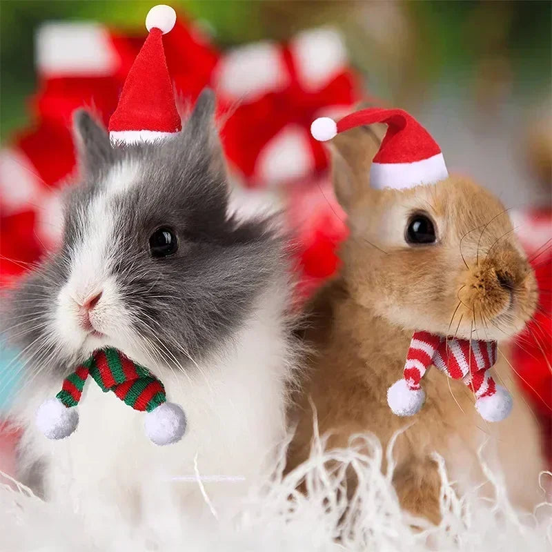 Hamster Christmas Costume Guinea Pig Mini Pet Supplies Hats Scarves Headwear Dragon Cat Rabbit Accessories Pet Clothing