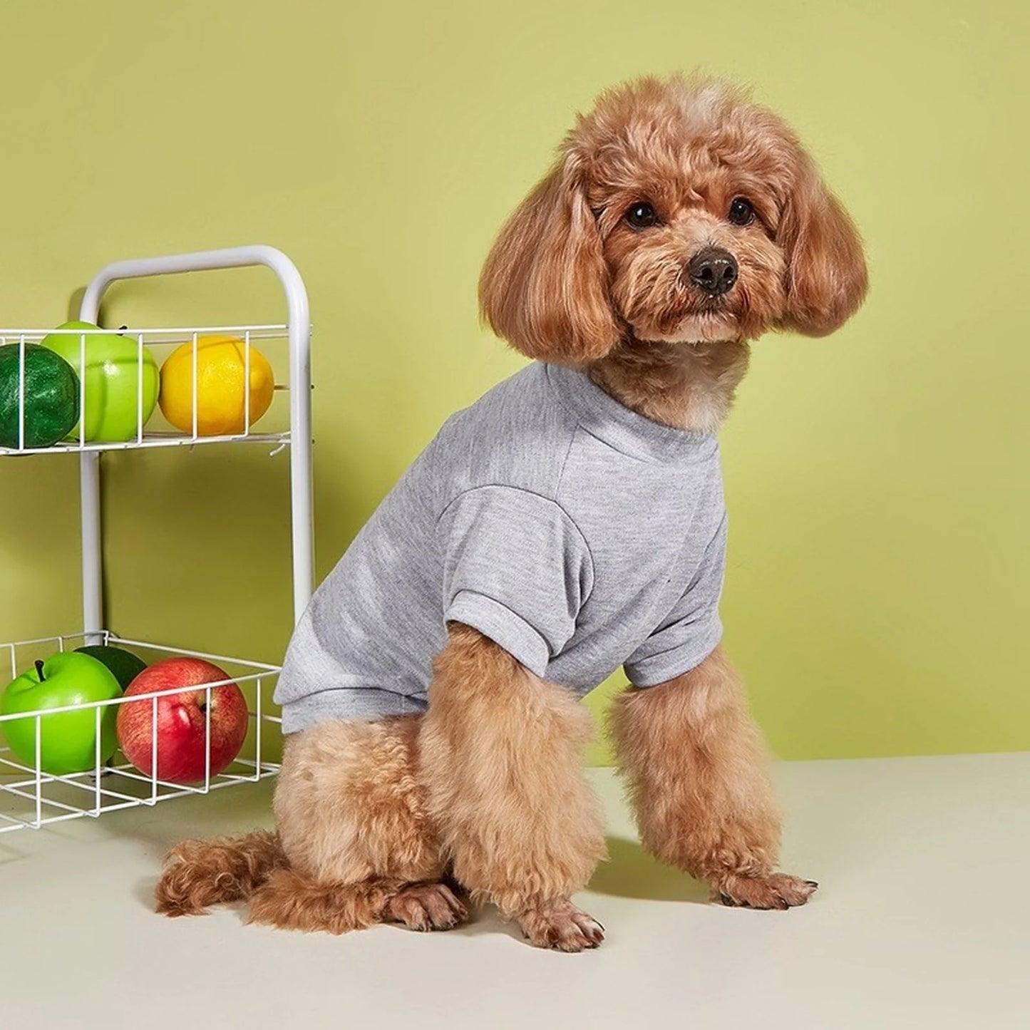 Breathable Dog T-shirt Solid Comfortable Thin Vest For Dogs Cute Summer Pet Clothes Dog Vest Tops Pet Supplies
