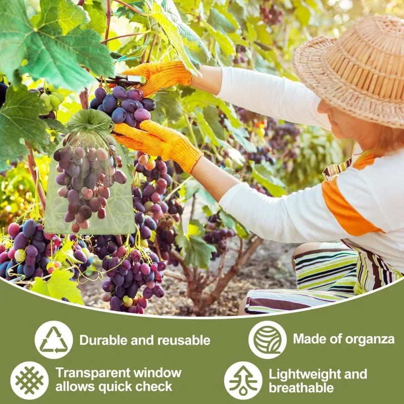 1/5/50/100Pcs Grapes Fruit Protection Bags Pest Control Anti-Bird Garden Netting Bags Mesh Agricultural Tree Garden Tool Bags