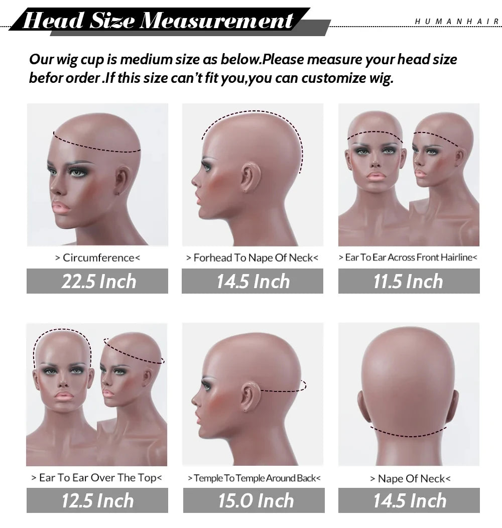 Women's Short Afro Kinky Curly Hair Black Wigs for Black Women Afro Wig Large Bouncy and Soft Natural Looking Premium Human Hair
