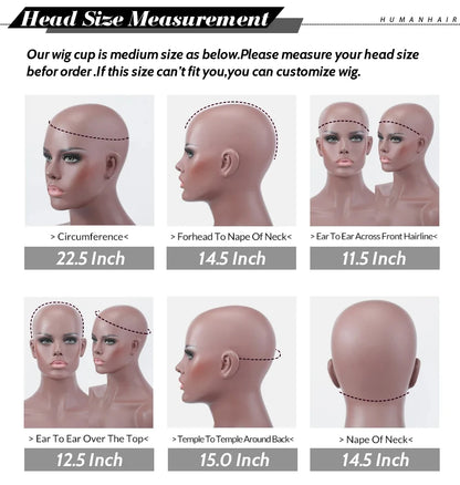 Women's Short Afro Kinky Curly Hair Black Wigs for Black Women Afro Wig Large Bouncy and Soft Natural Looking Premium Human Hair