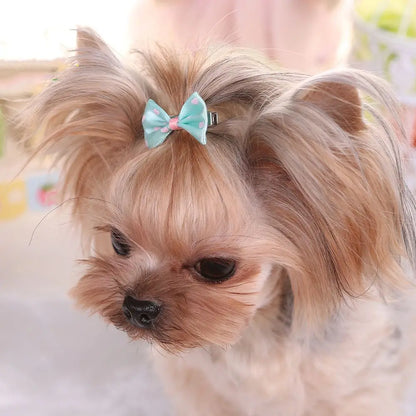 Hair Clips For Dogs Cat Sweet Bow Hairpins Colorful Hair Barrette Puppy Beauty Supplies Pet Butterfly Bows Pet Supplies
