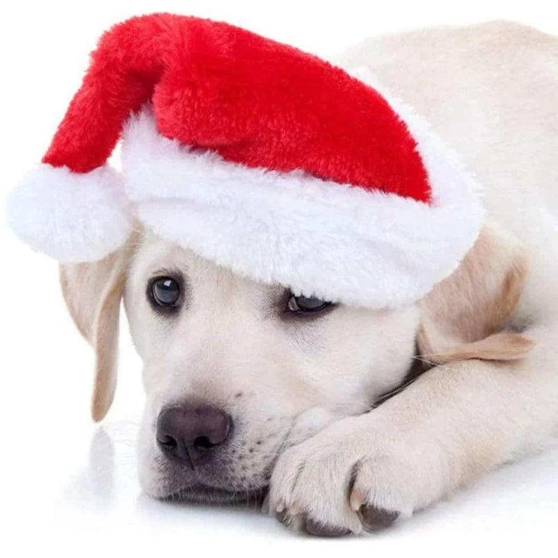 Pet Cat Dog Christmas Santa Hat Cap Small Medium Dogs Headwear Xmas New Year Party Cosplay Costume Accessories Pet Supplies