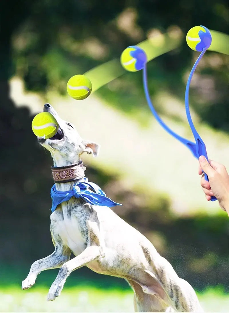 Pet Tennis Ball Launcher Stick - Interactive Outdoor Dog Funny Training Interactive Ball Picking Toy Training Toys Pet Supplies