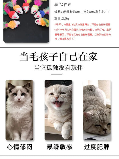 Colored Feathers Fur False Mouse Pet Cat Toys Feather Rainbow Ball Toy Cats Scratching Funny Playing Toys for Cats Pet Supplies