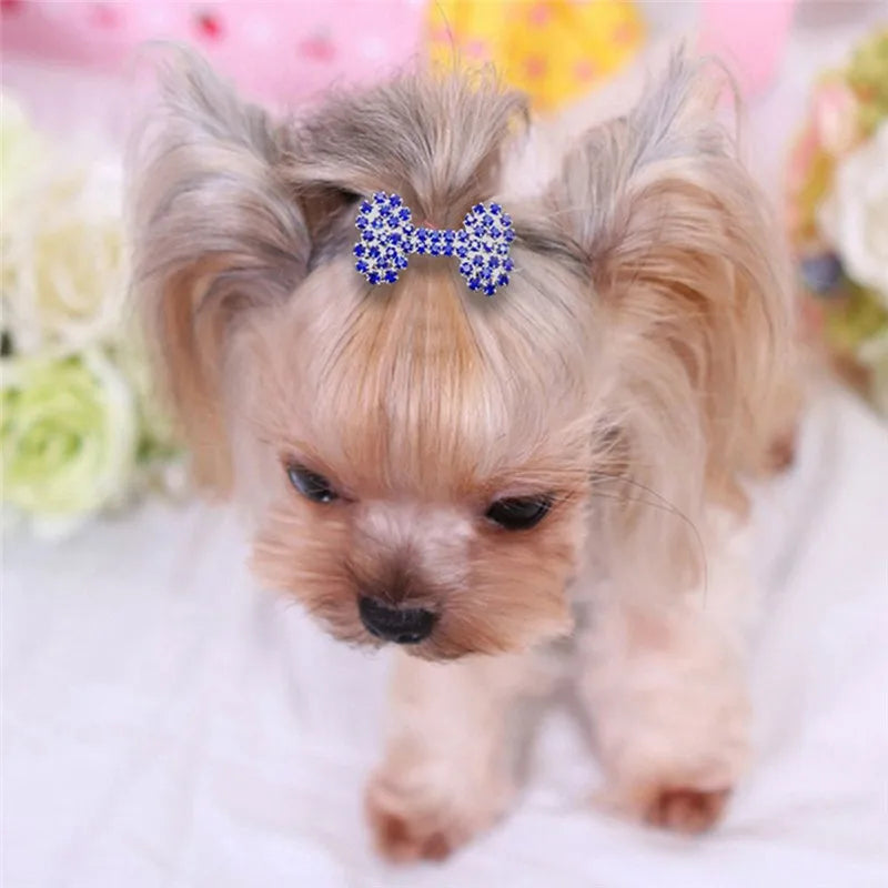 Bling Pearl Dog Collar Small and Medium Dogs Crown Hair Clips Puppy Accessories Doggy Heart and Bone Necklace Pet Supplies