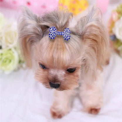 Bling Pearl Dog Collar Small and Medium Dogs Crown Hair Clips Puppy Accessories Doggy Heart and Bone Necklace Pet Supplies