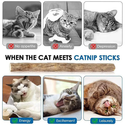 5Pcs Natural Catnip Pet Cat Molar Toothpaste Stick Cat Kitten Chew Toys  Pet Supplies Cat Snacks Sticks Healthy Pet Accessories