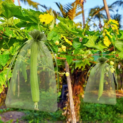 1/5/50/100Pcs Grapes Fruit Protection Bags Pest Control Anti-Bird Garden Netting Bags Mesh Agricultural Tree Garden Tool Bags