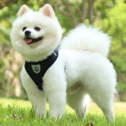 Dog Harness Vest Chest Cat Collars Rope Adjustable Breathable Mesh Puppy Harness for Outdoor Walking Small Medium Pet Supplies