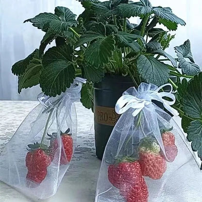 1/5/50/100Pcs Grapes Fruit Protection Bags Pest Control Anti-Bird Garden Netting Bags Mesh Agricultural Tree Garden Tool Bags