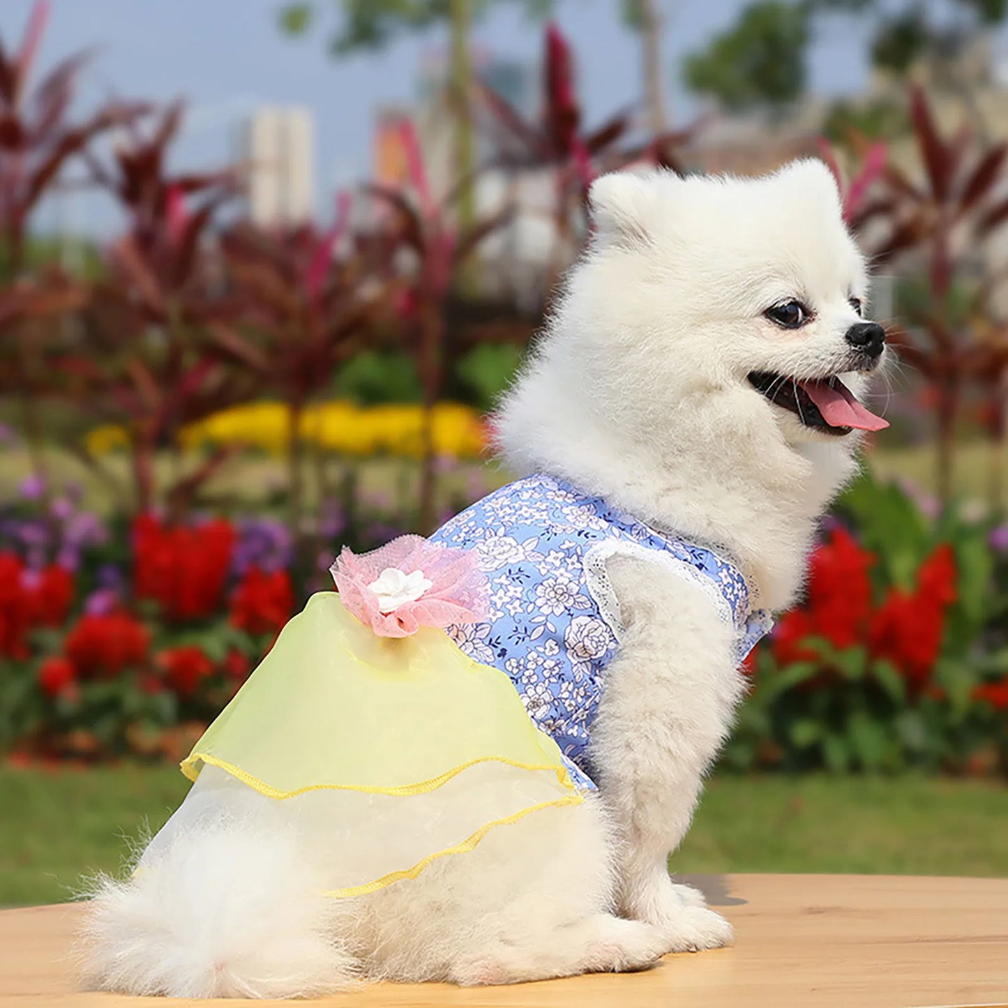 Pet Dresses Spring And Summer Pet Cothes Spring And Summer Cute Pet Supplies Dresses Rose Dress Dog Clothes Ropa Para Perros