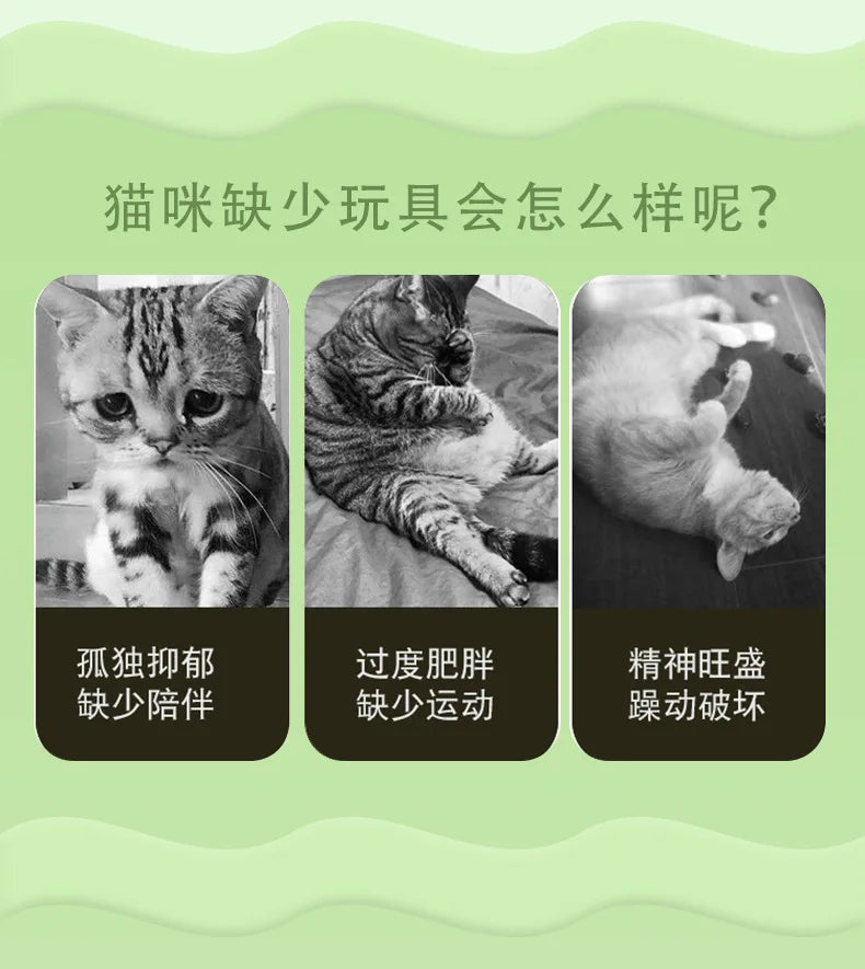 고양이 장난감 Pet Supplies Caterpillar Shaped Plush Cat Toy Contains Catnip Self Pleasure Boredom Relief Cat Toys Interactive
