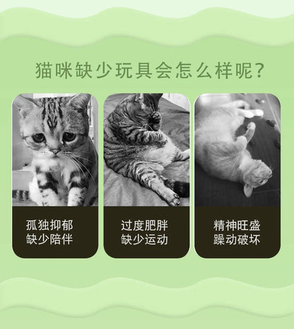 고양이 장난감 Pet Supplies Caterpillar Shaped Plush Cat Toy Contains Catnip Self Pleasure Boredom Relief Cat Toys Interactive