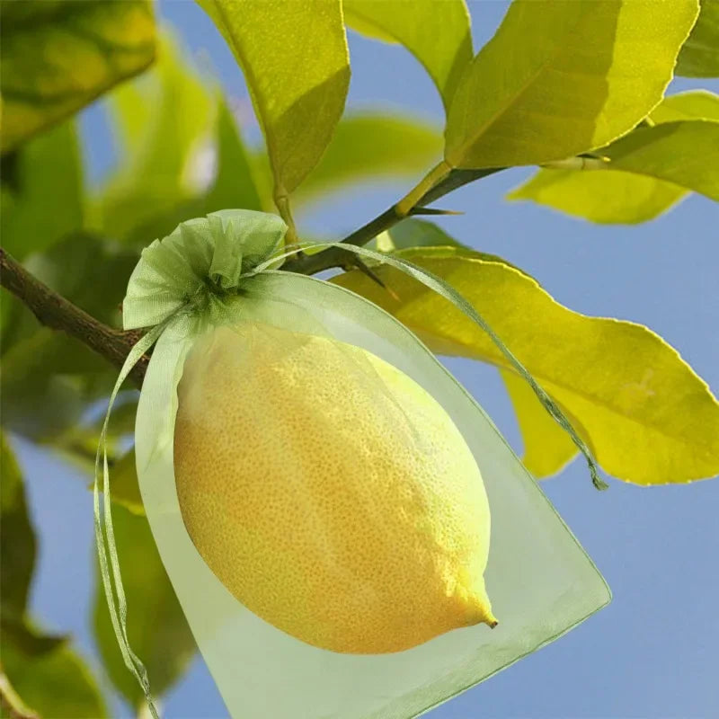 1/5/50/100Pcs Grapes Fruit Protection Bags Pest Control Anti-Bird Garden Netting Bags Mesh Agricultural Tree Garden Tool Bags