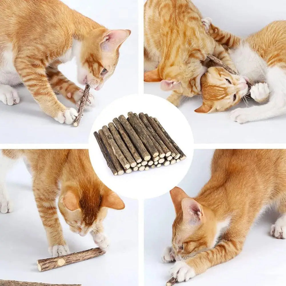 5Pcs Natural Catnip Pet Cat Molar Toothpaste Stick Cat Kitten Chew Toys  Pet Supplies Cat Snacks Sticks Healthy Pet Accessories