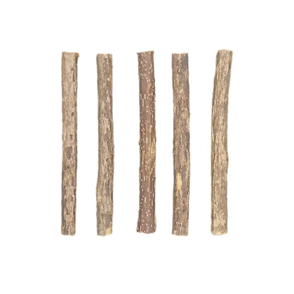 5Pcs Natural Catnip Pet Cat Molar Toothpaste Stick Cat Kitten Chew Toys  Pet Supplies Cat Snacks Sticks Healthy Pet Accessories