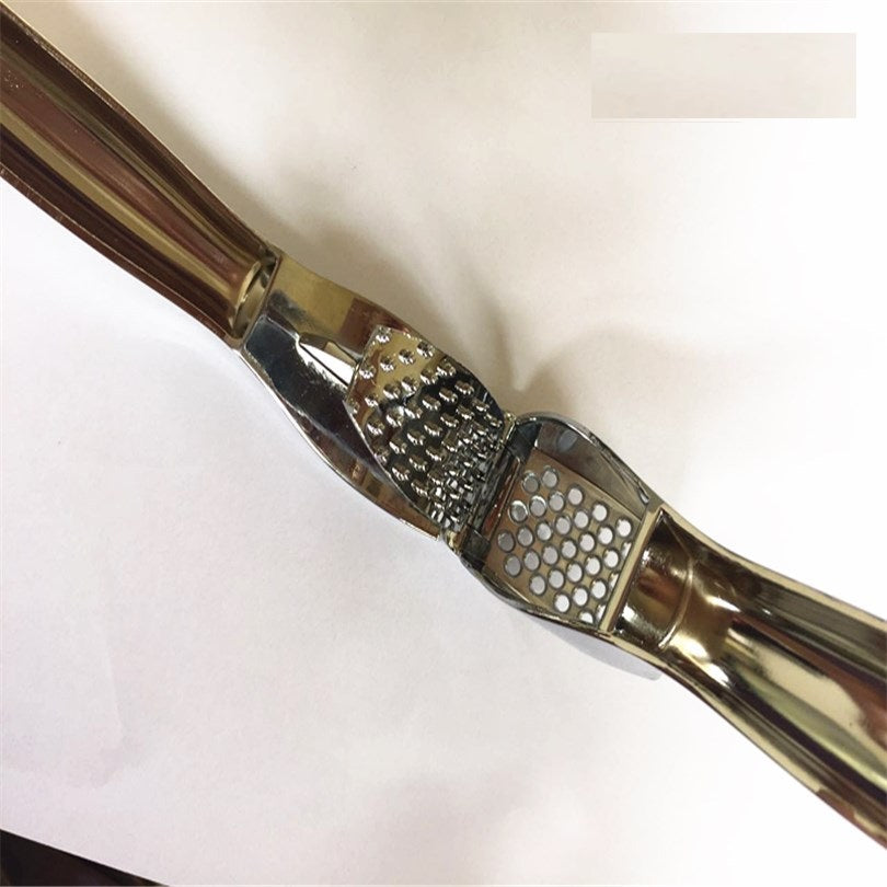 Multi-Functional Stainless Steel Garlic Press Tool